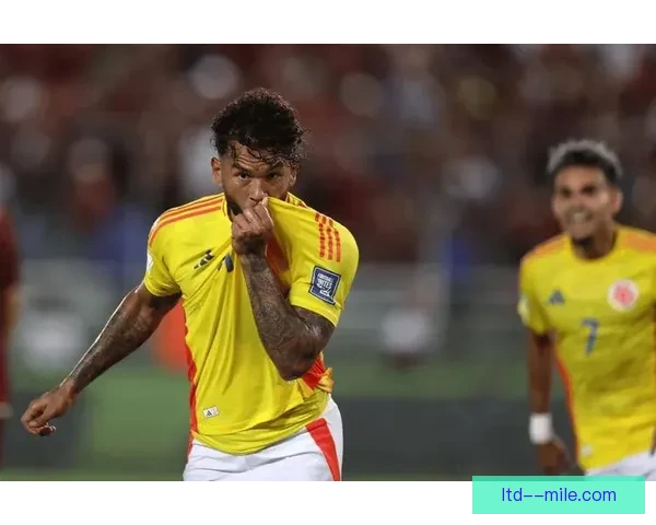 拉巴斯高原优势明显 世预赛多支南美强队客场失分