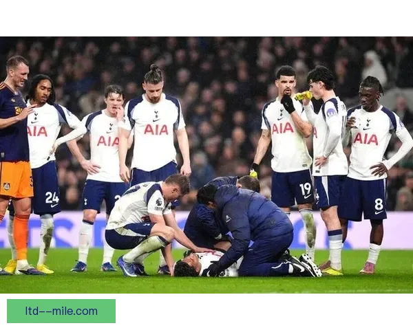 热刺正式签下奥多贝尔加强后防实力 期待荷兰国脚新赛季表现